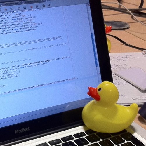 _images/rubber_duck.jpg