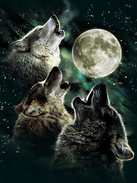 _images/three_wolf_moon.jpg